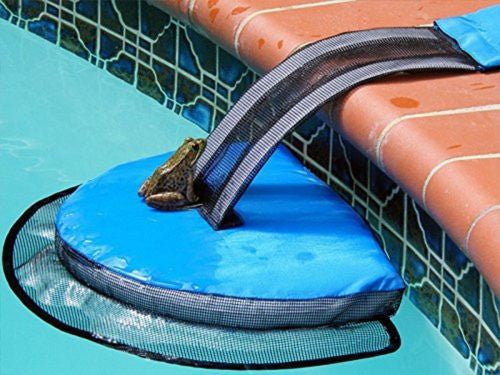 FrogLog Rampe de Sauvetage pour Petits Animaux