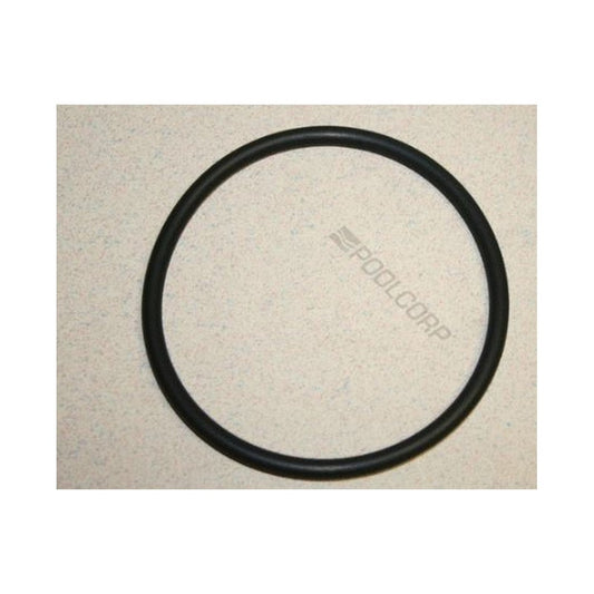 HAYWARD Joint d'étanchéité Viton pour Couvert de Chlorinateur CLX110K — Pièces | Destination Piscine Aide St-Bruno