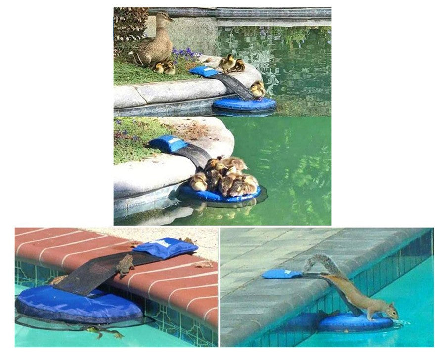 FrogLog Rampe de Sauvetage pour Petits Animaux — Accessoires | Destination Piscine Aide St-Bruno