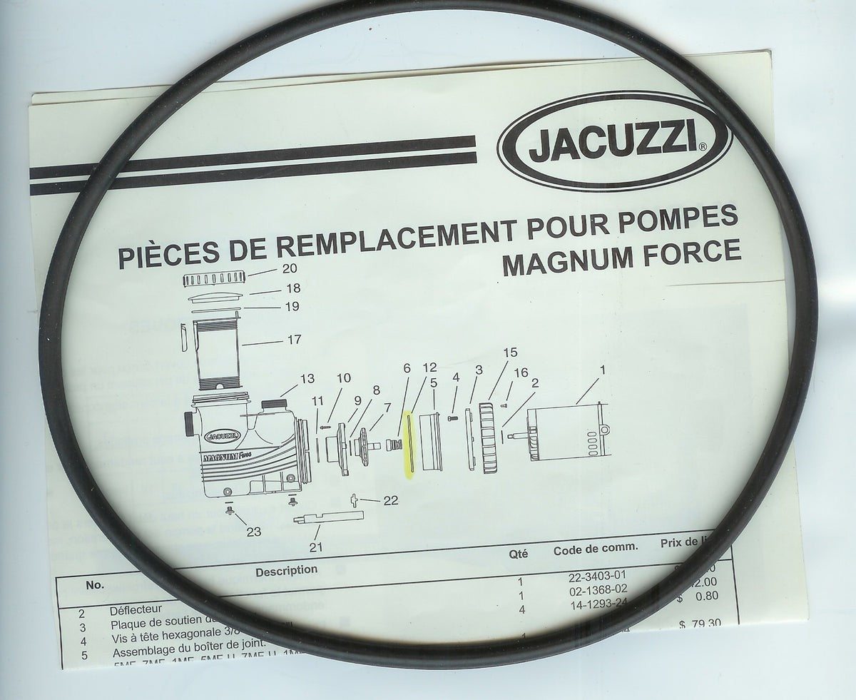 Jacuzzi Bouchons de drainage de pompe avec joint — Pièces | Destination Piscine Aide St-Bruno
