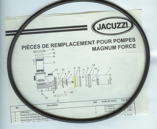 Jacuzzi Bouchons de drainage de pompe avec joint — Pièces | Destination Piscine Aide St-Bruno