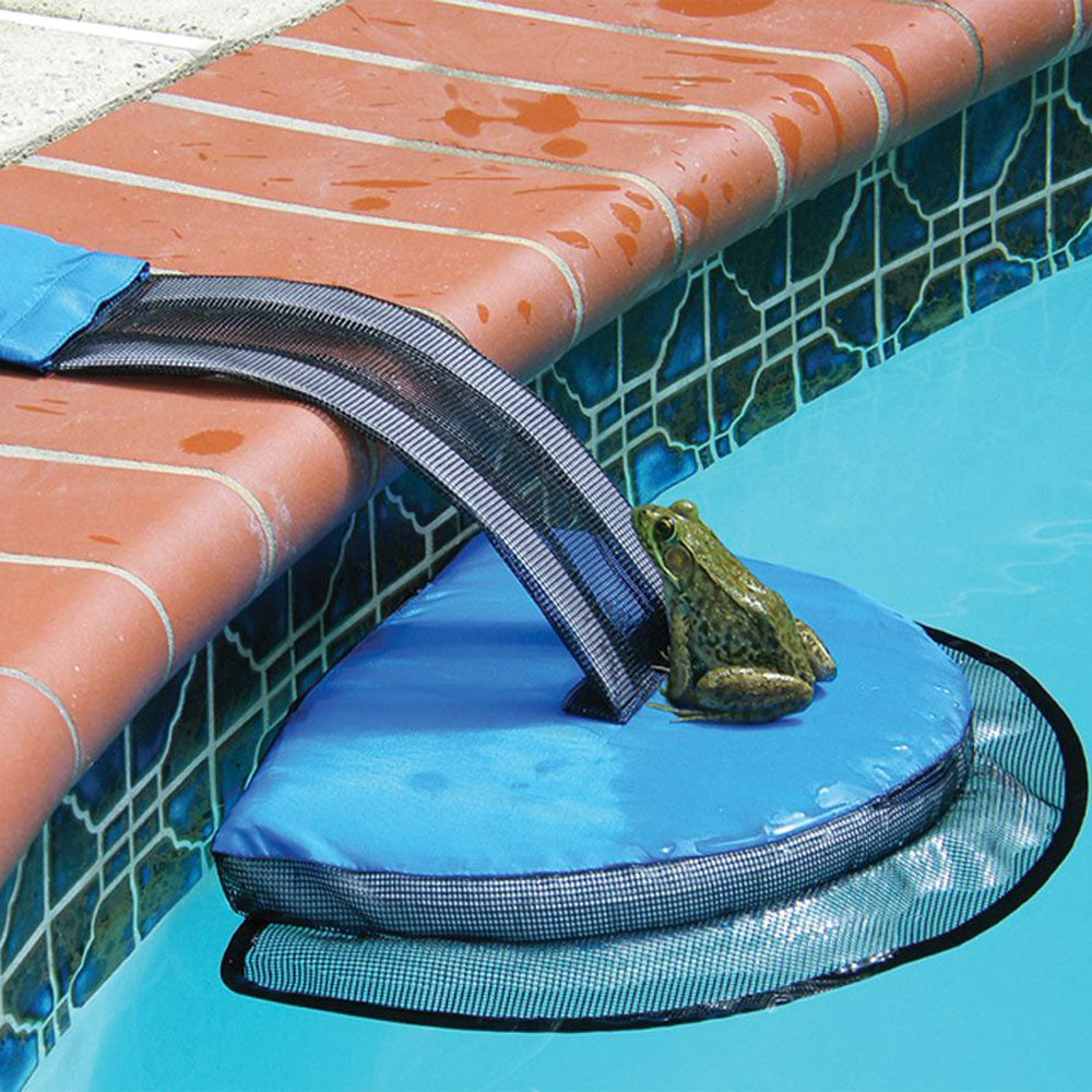 FrogLog Rampe de Sauvetage pour Petits Animaux