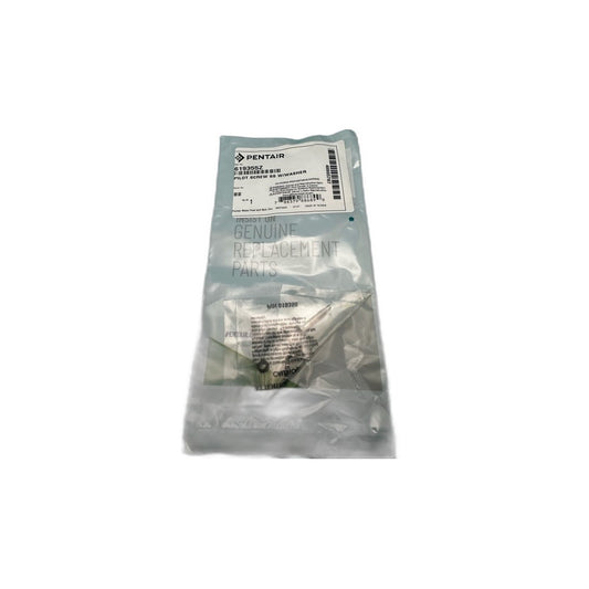 Pentair Vis pilote inox avec washer #619355Z — Pièces | Destination Piscine Aide St-Bruno
