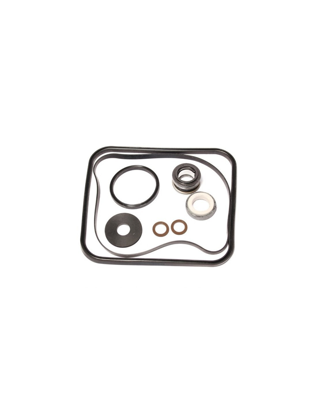 Hayward Kit d'étanchéité et joint de pompe Super Pump — Pièces | Destination Piscine Aide St-Bruno