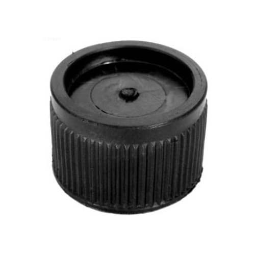 Jacuzzi Bouchon de Filtre 85826300R