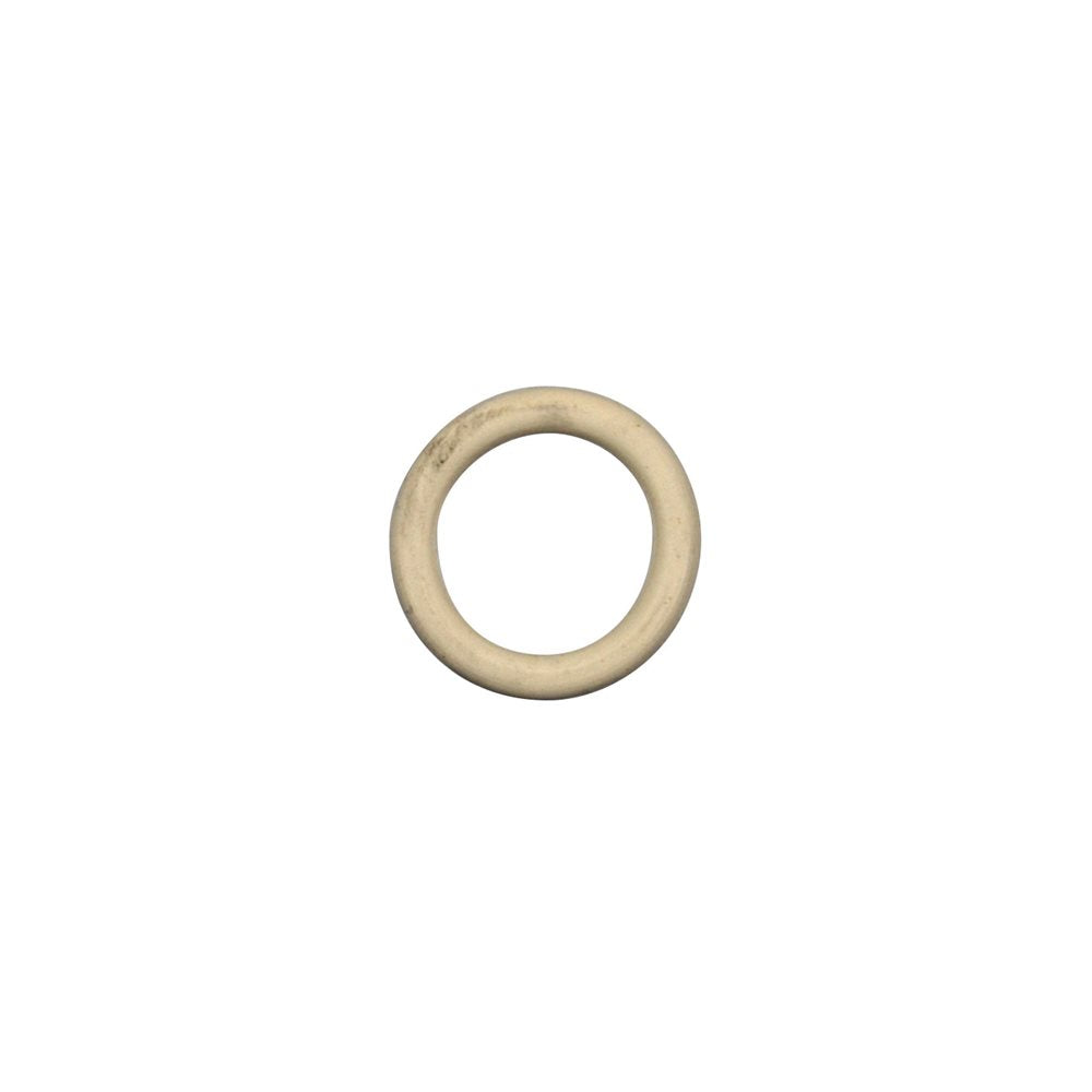 Pentair O'Ring Bouchon Drainage Pompe 192115Z