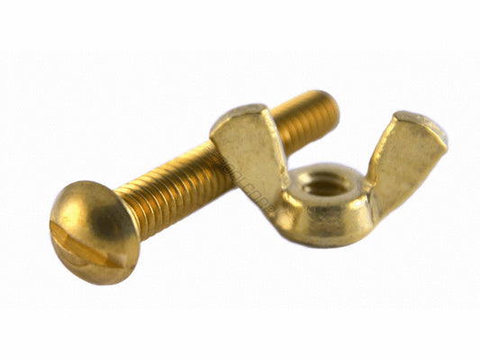 Pentair Boulon-Écrou Laiton pour Accessoires