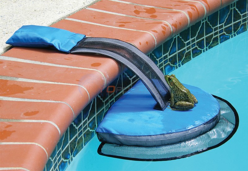 FrogLog Rampe de Sauvetage pour Petits Animaux — Accessoires | Destination Piscine Aide St-Bruno