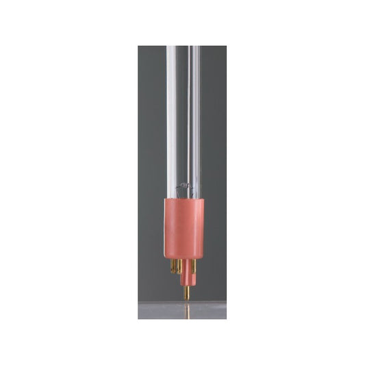 Ampoule UV 75W pour Stérilisation Piscine - 29947F98004